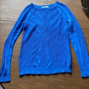 Blue Sweater